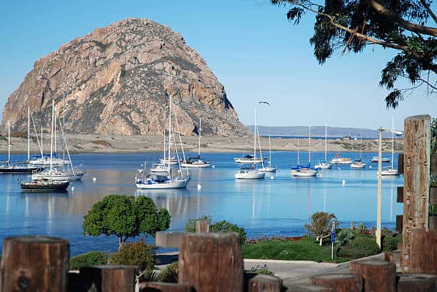 Morro Bay fishing