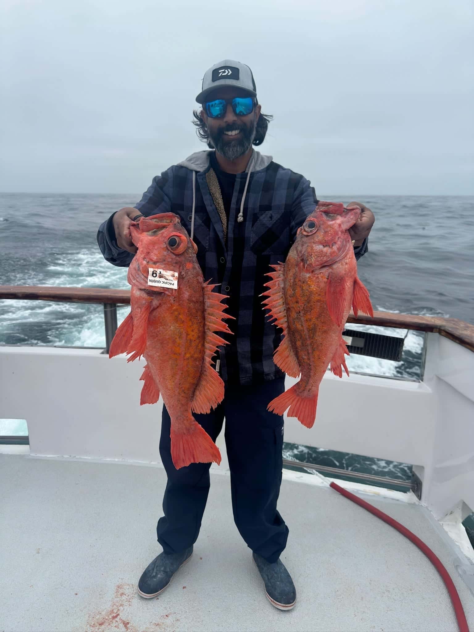 San Diego Rockfish — The 68-Day Shallow Window Just Opened