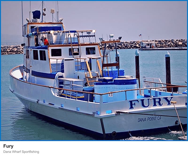 Fury