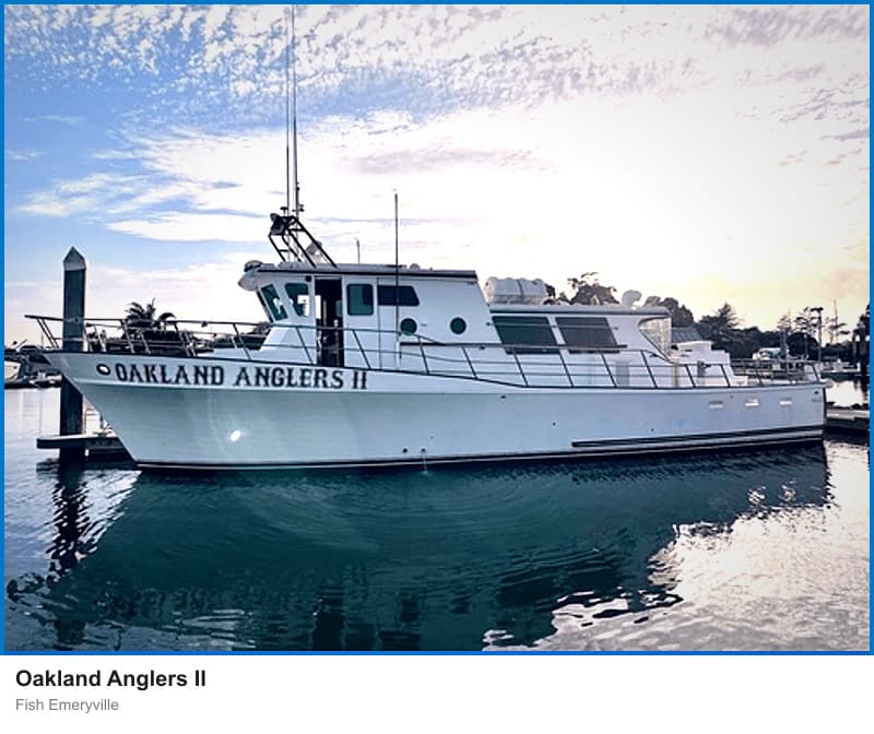 Oakland Anglers II