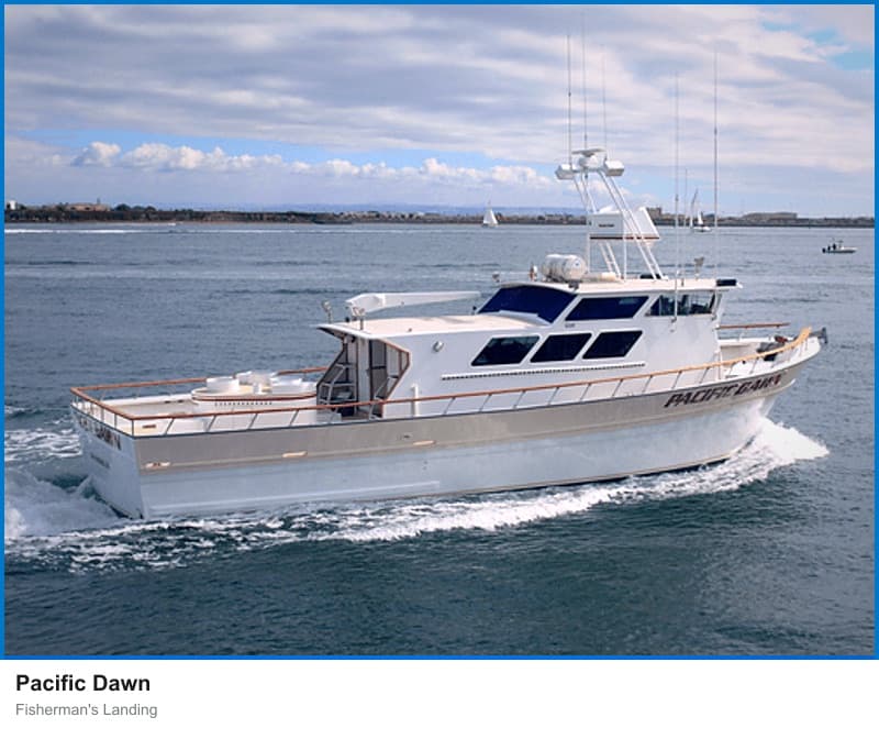 Pacific Dawn at Fisherman's Landing