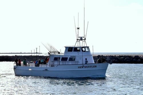 New Hustler at Hook's Landing