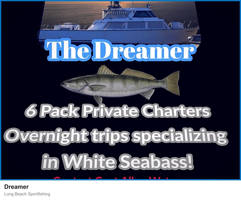 Dreamer