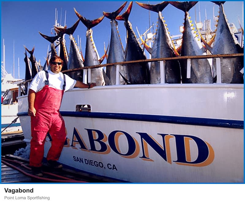 Vagabond at Point Loma Sportfishing