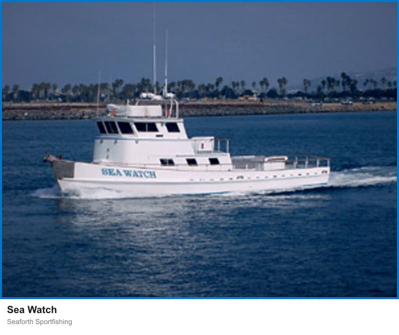 Sea Watch at Seaforth