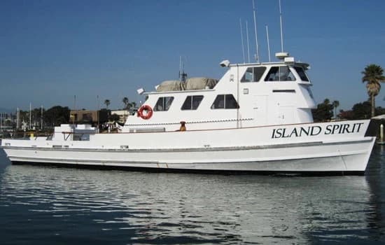 Island Spirit