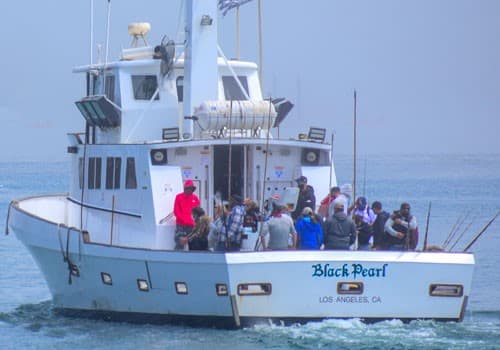 Black Pearl Sportfishing