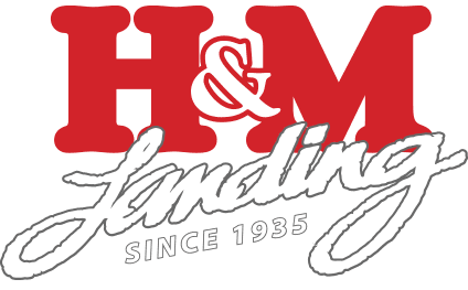 H&M Landing