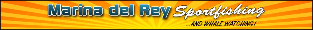 Marina Del Rey Sportfishing