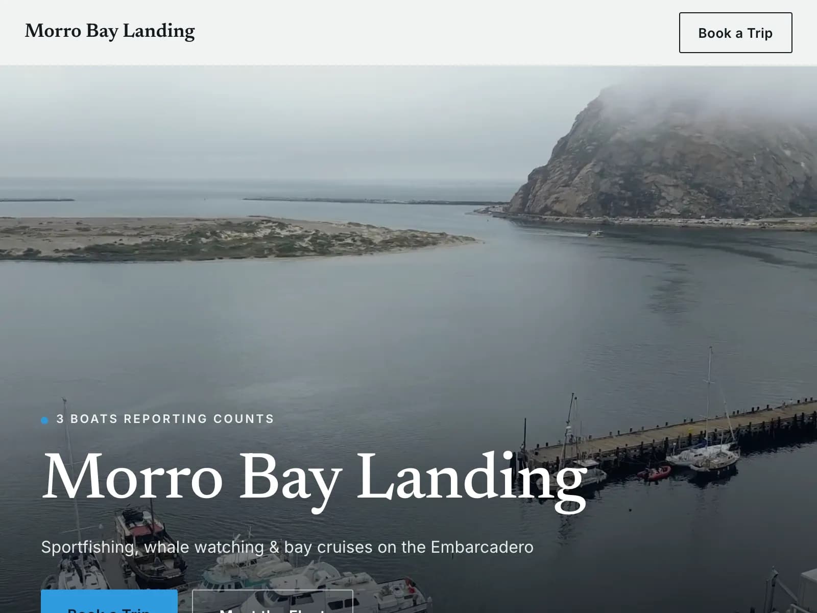 Morro Bay Landing partner website showing its boats reporting counts and a Book a Trip button