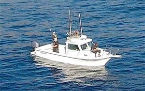 Bight 23 (SD)