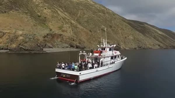 Eldorado at Long Beach Sportfishing