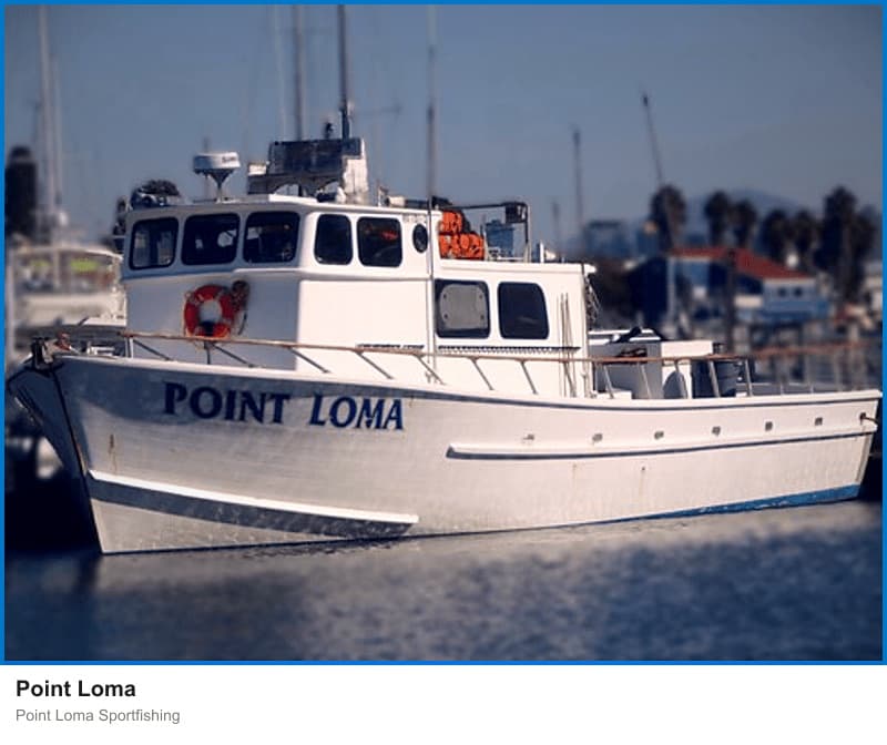 Point Loma at Point Loma Sportfishing