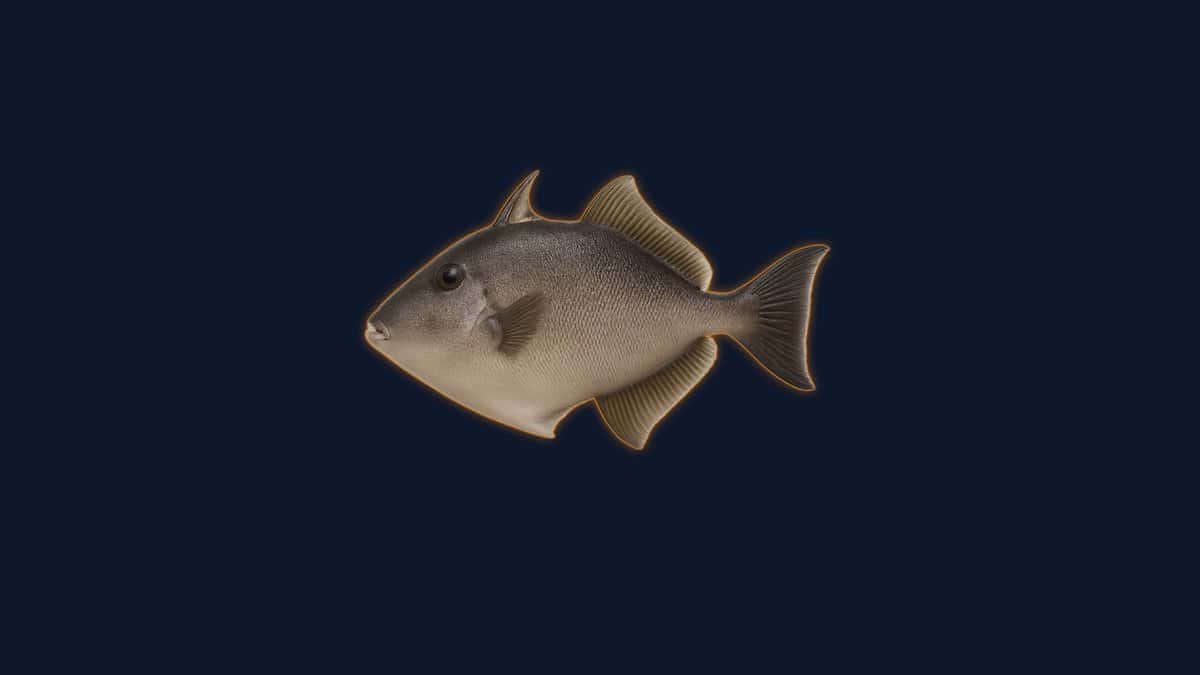 Studio illustration of a finescale triggerfish with a deep, gray-brown body, a small pointed mouth and tall rear fins against a dark background.