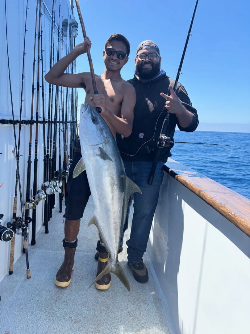 Steady yellowtail bite for about 3 hours