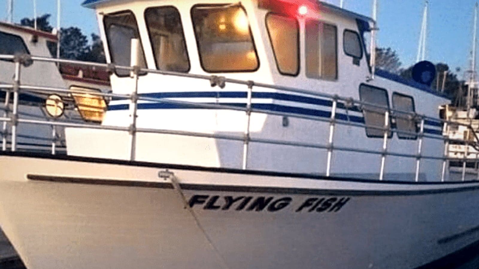 Flying Fish