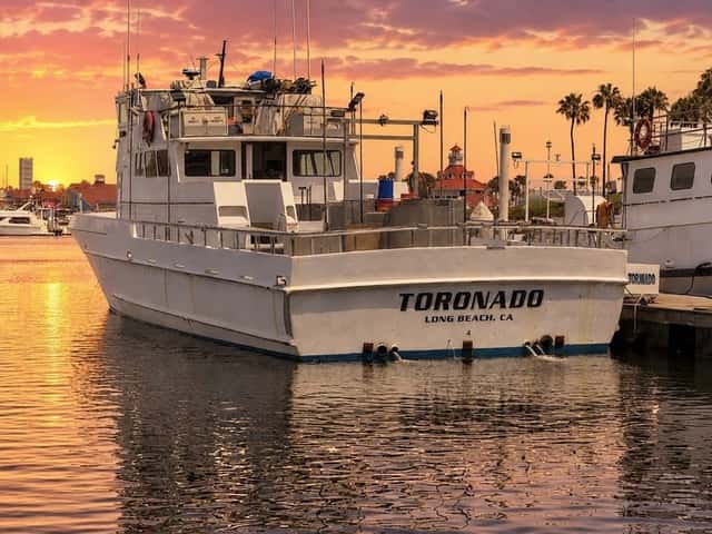 Toronado: Dorado This Morning on the Overnight Out of Pierpoint — photo 2