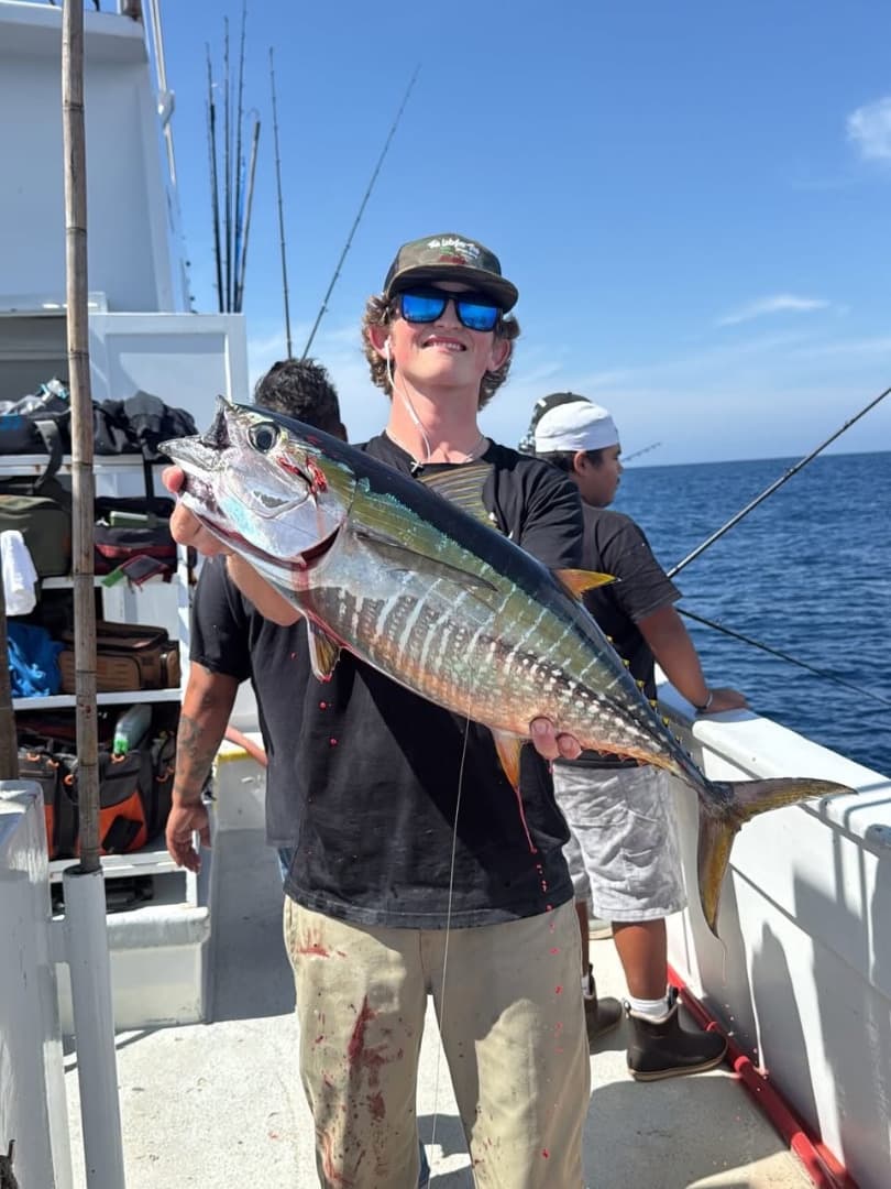 20 mixed grade yellowfin tuna!