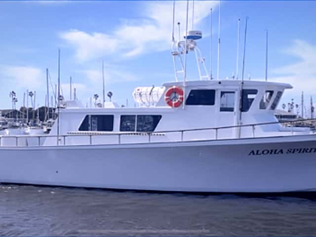 Aloha Spirit: 15 White Seabass for 16 Anglers out of Oxnard — photo 3