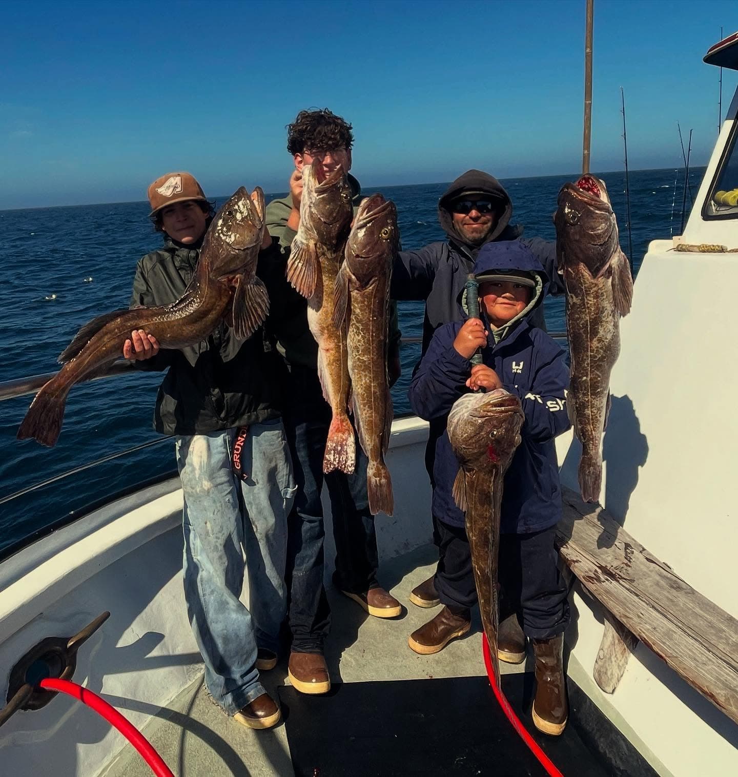 Lingcod stacked up on the rail at Morro Bay
