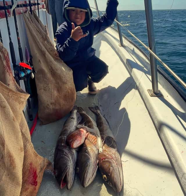 Lingcod stacked up on the rail at Morro Bay — photo 2