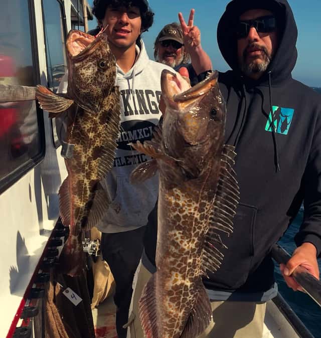 Lingcod stacked up on the rail at Morro Bay — photo 3