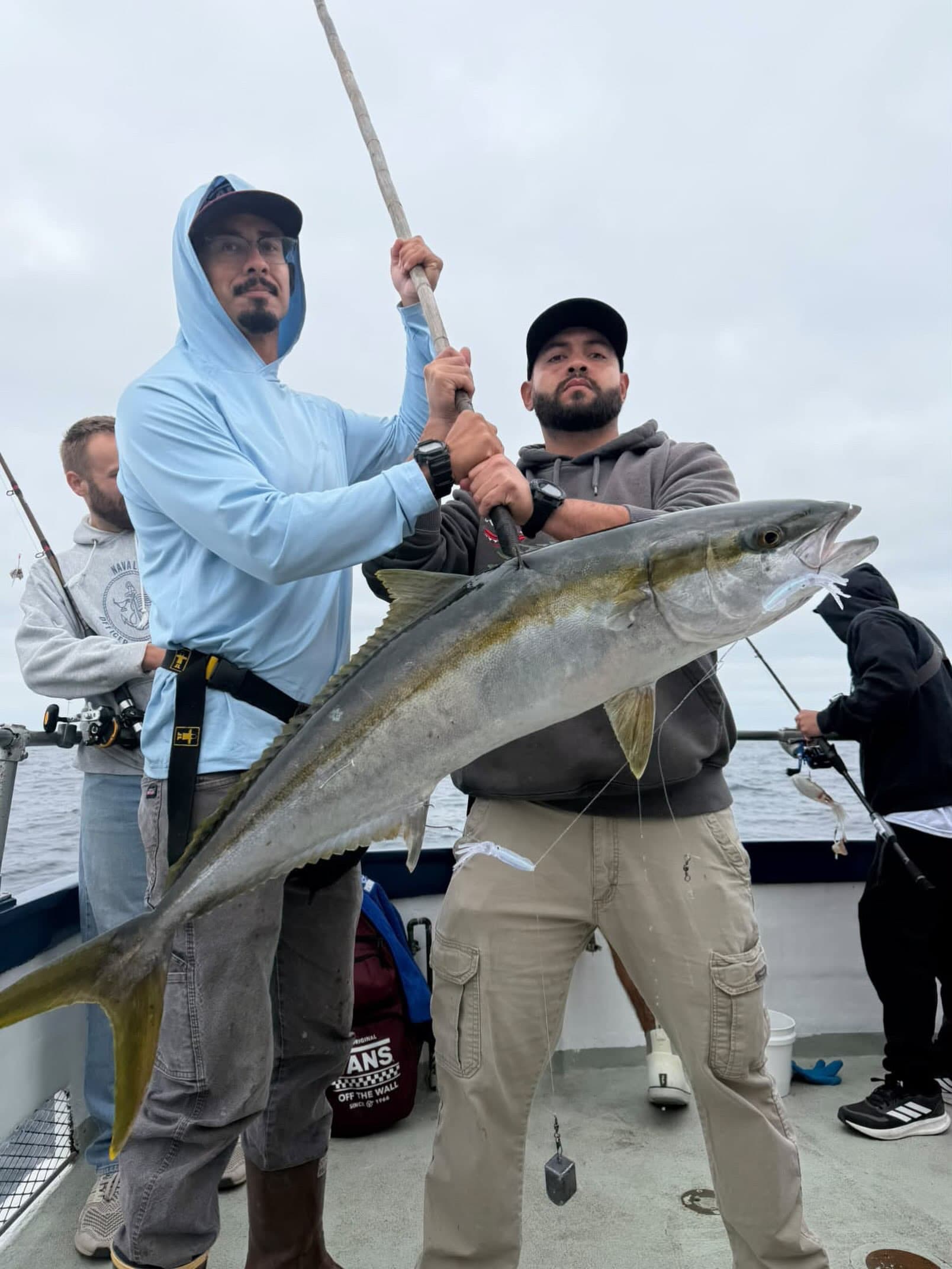 Big yellowtail caught on half day trip aboard the Avenger