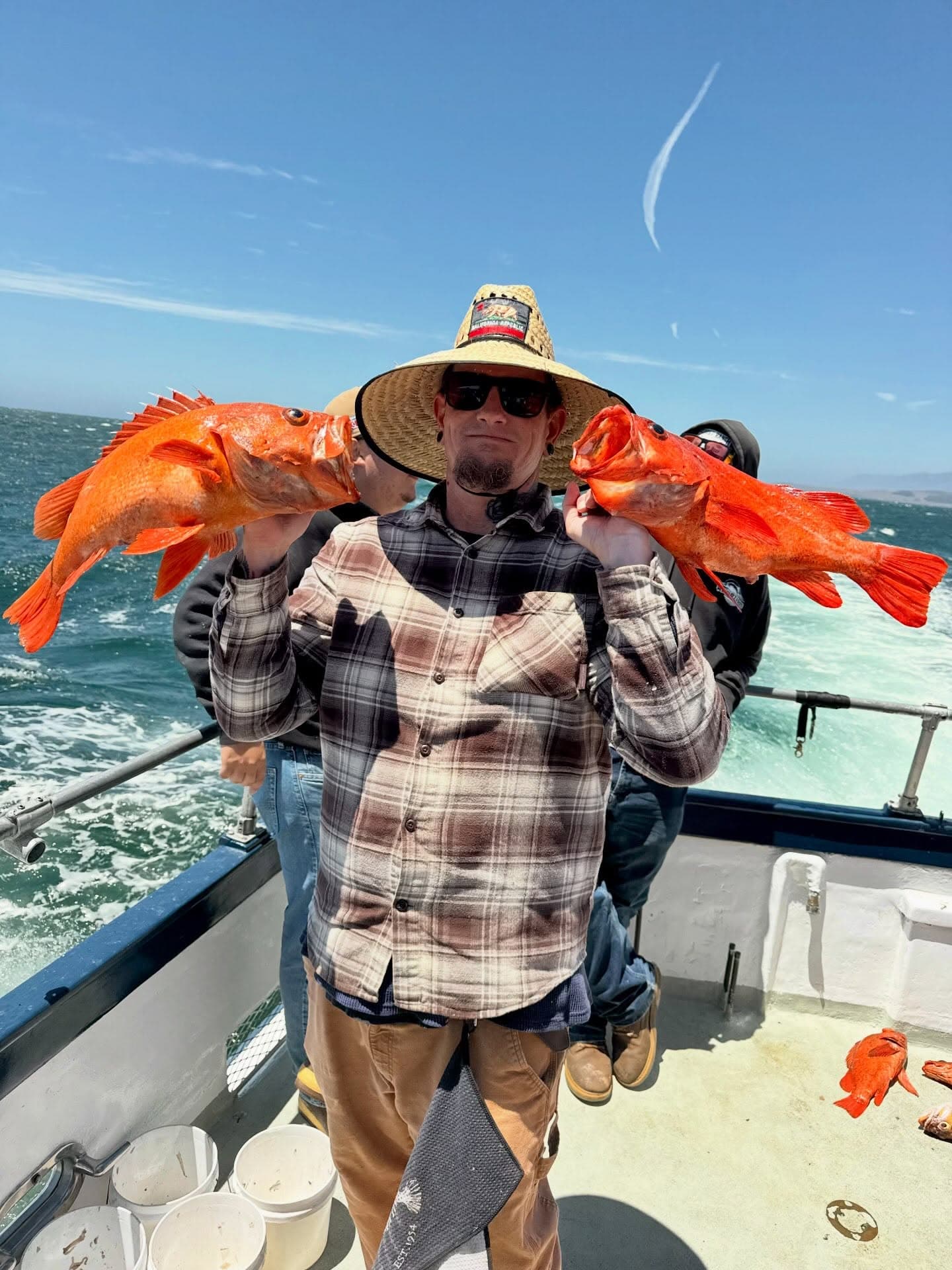 Big lings and vermillion rockfish in shallow water