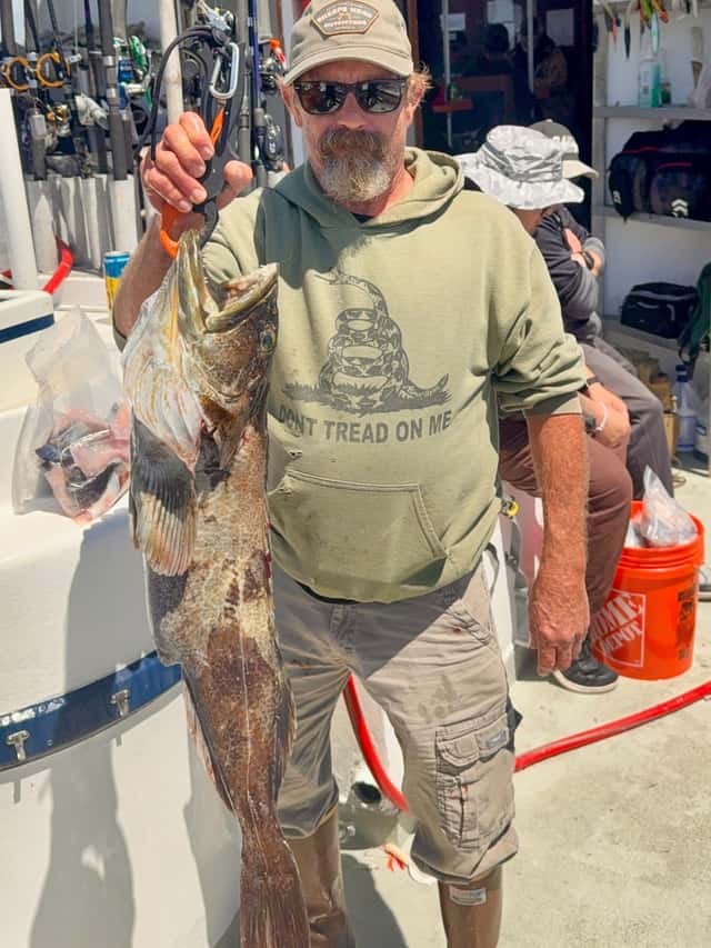Big lings and vermillion rockfish in shallow water β photo 2