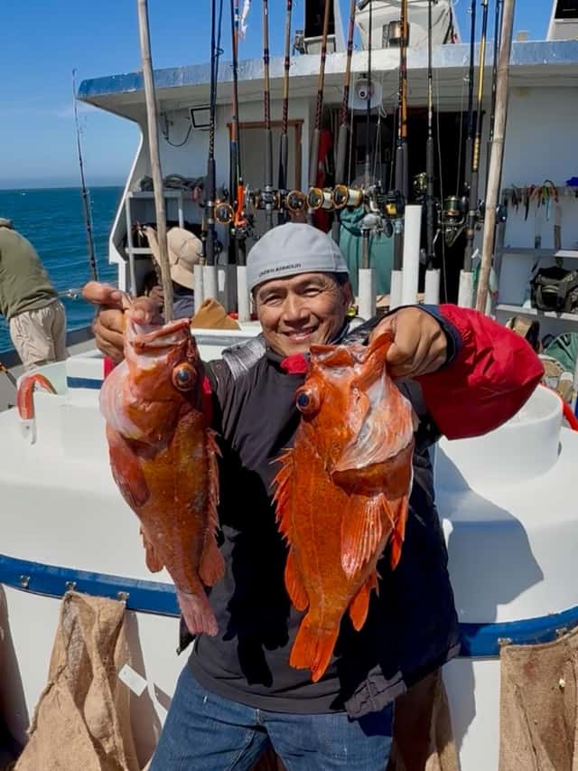 Big lings and vermillion rockfish in shallow water β photo 4