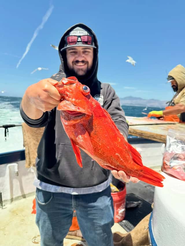 Big lings and vermillion rockfish in shallow water β photo 5
