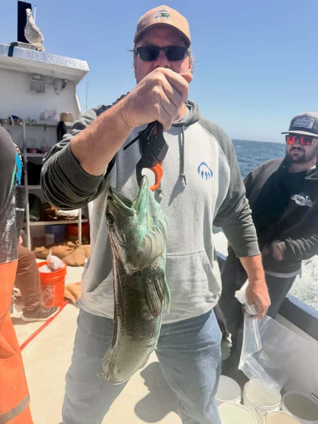 Big lings and vermillion rockfish in shallow water β photo 7