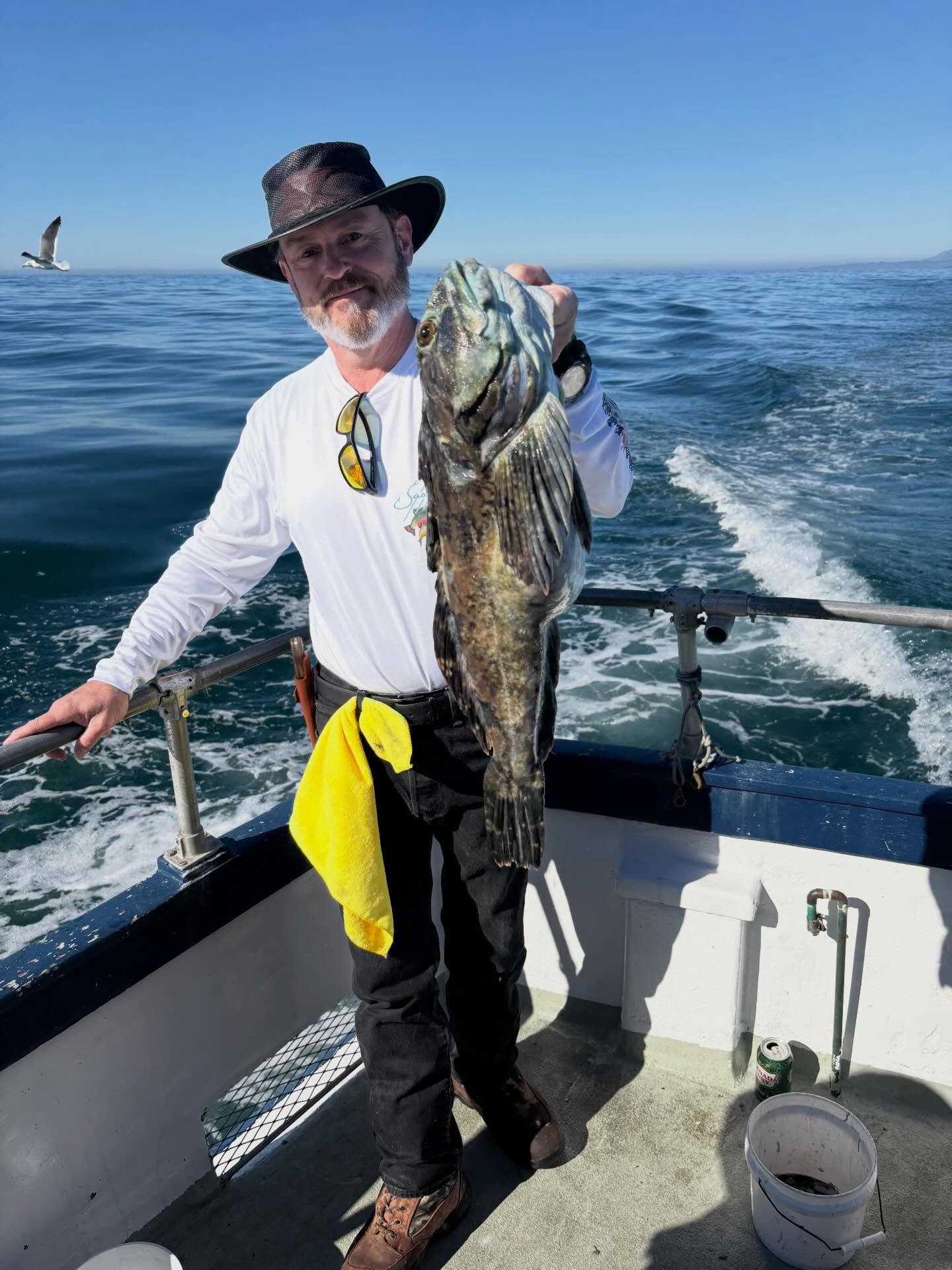 Lingcod all around aboard the Avenger