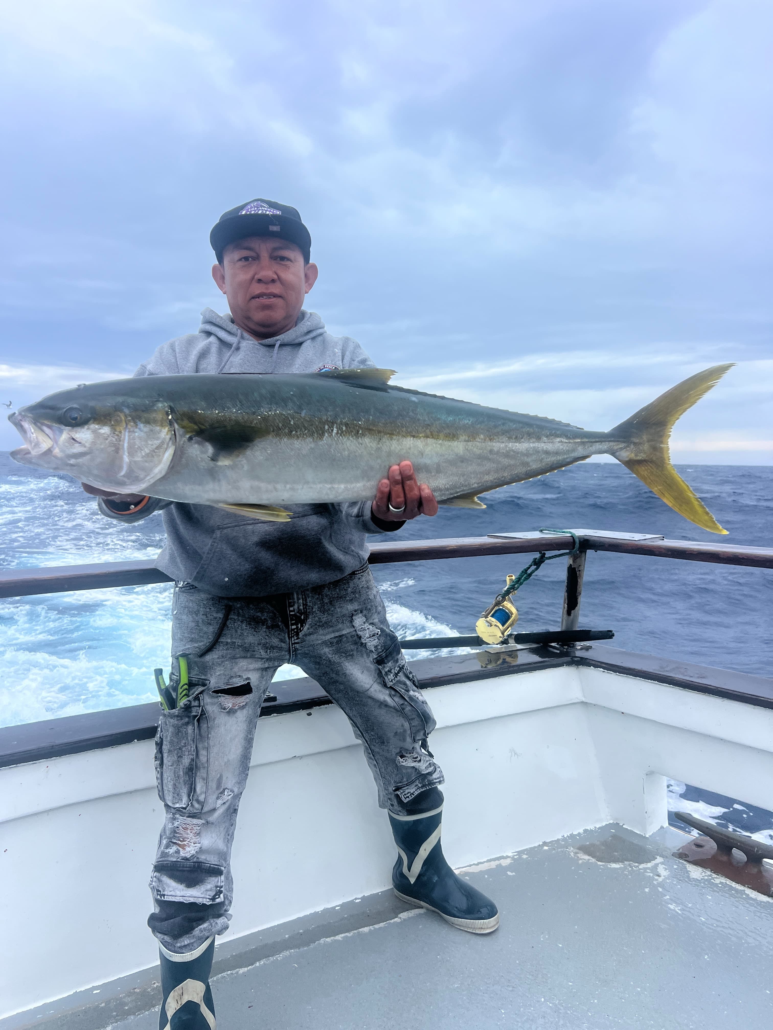Yellowtail caught before the storm shut fishing down