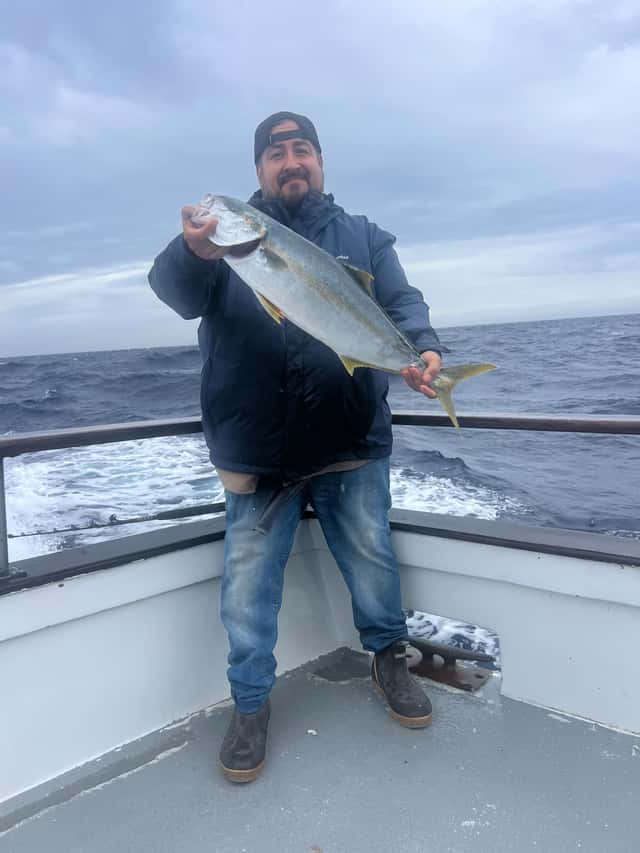 Yellowtail caught before the storm shut fishing down — photo 2