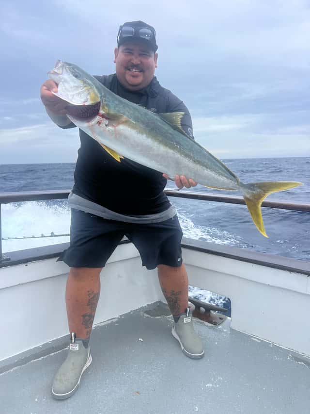 Yellowtail caught before the storm shut fishing down — photo 4