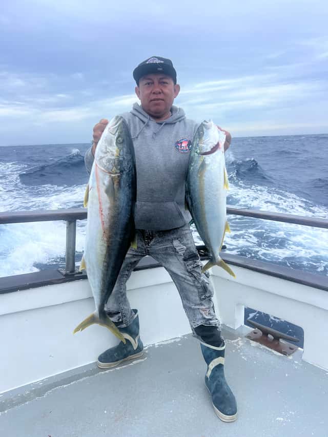 Yellowtail caught before the storm shut fishing down — photo 5