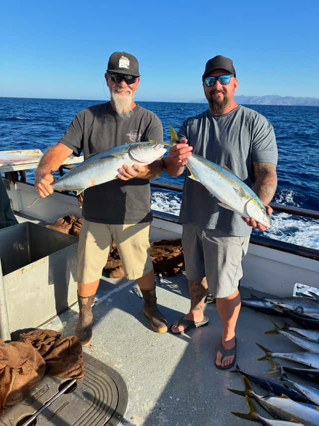 Yellowtail caught before the storm shut fishing down — photo 9
