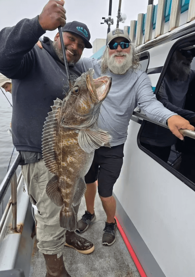 Fish Emeryville's Scores for 9/16/2025