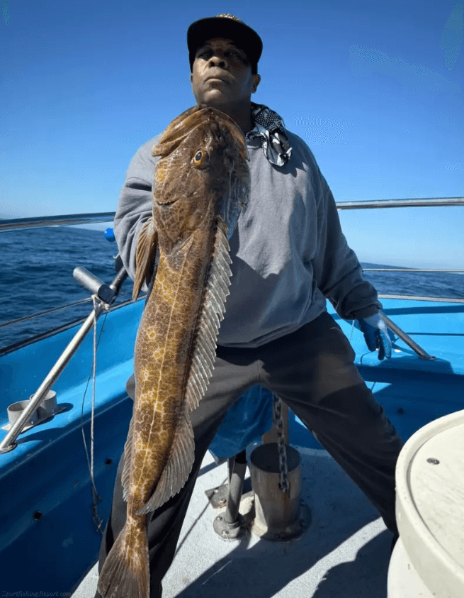 Lingcod and Rockfish Limits