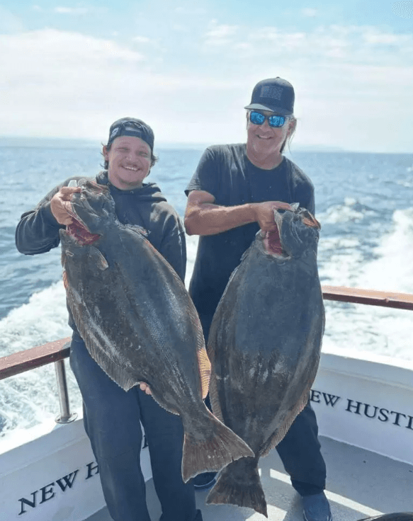 Halibut Tuesday's
