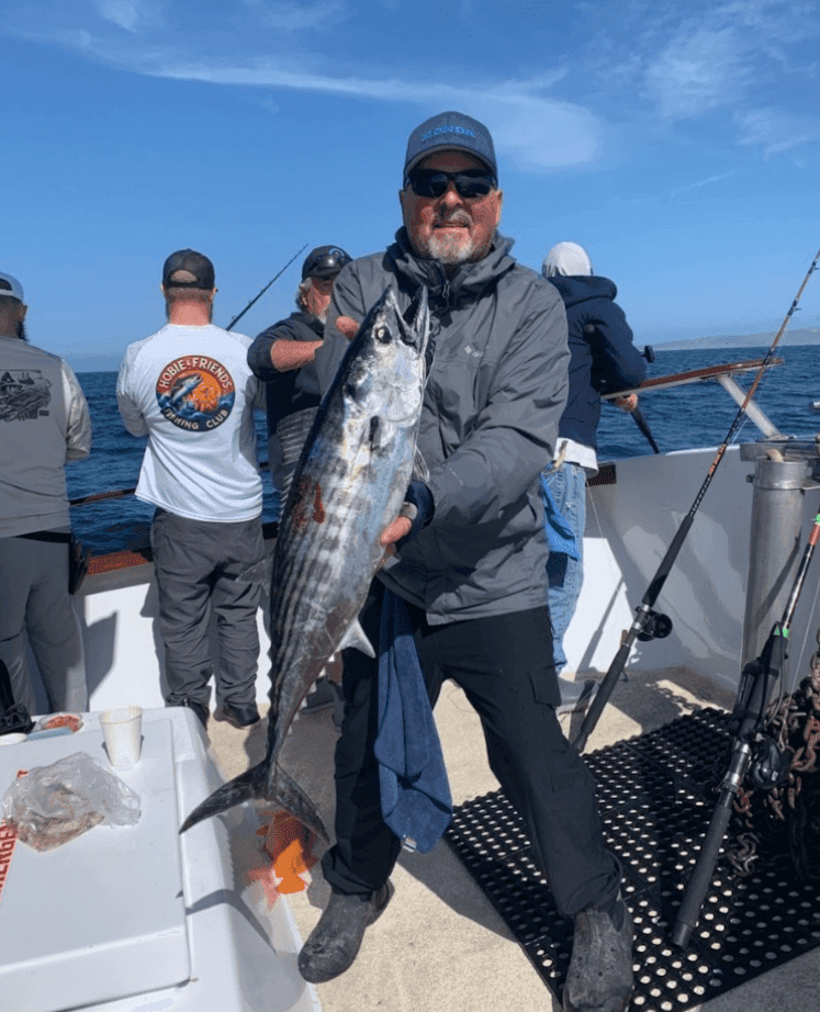 Mirage Fish Count