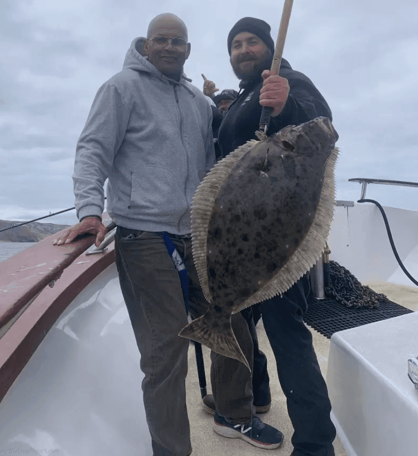 Mirage - Yesterday's fish count!