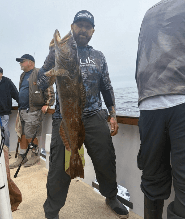 Mirage Fish Count- Oxnard
