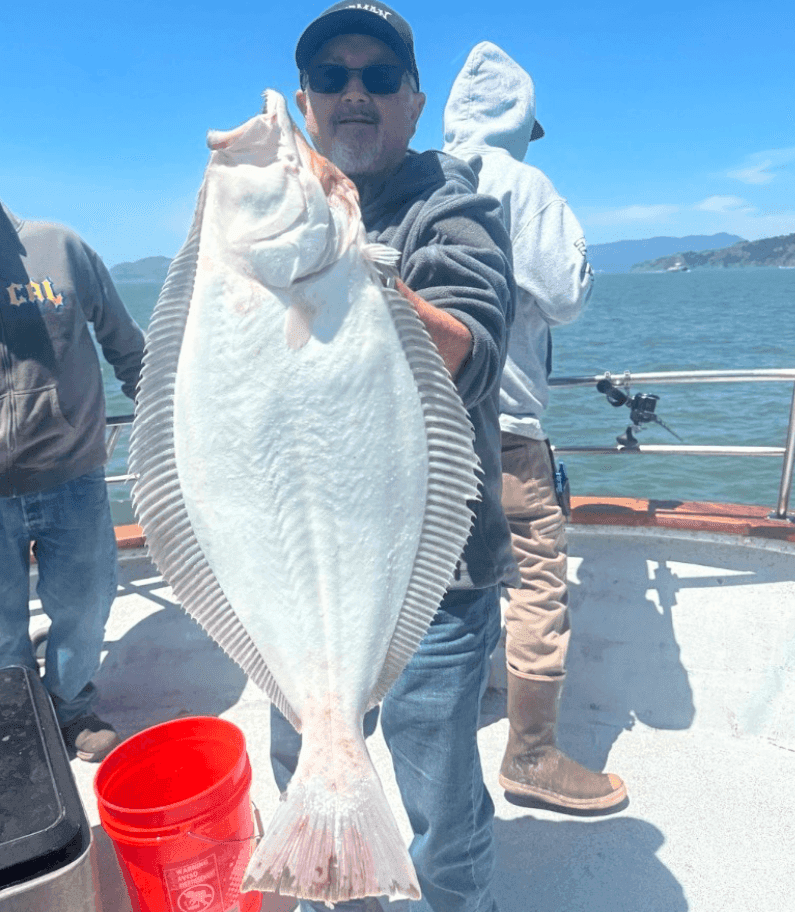Berkeley Fish Report 5-16-26