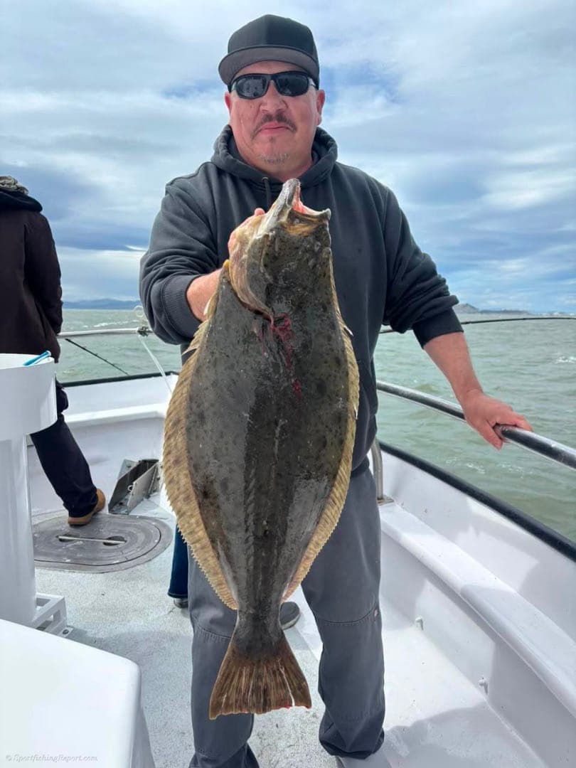 Berkeley Halibut & Striped Bass