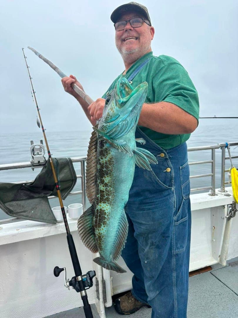 Everything was biting today!