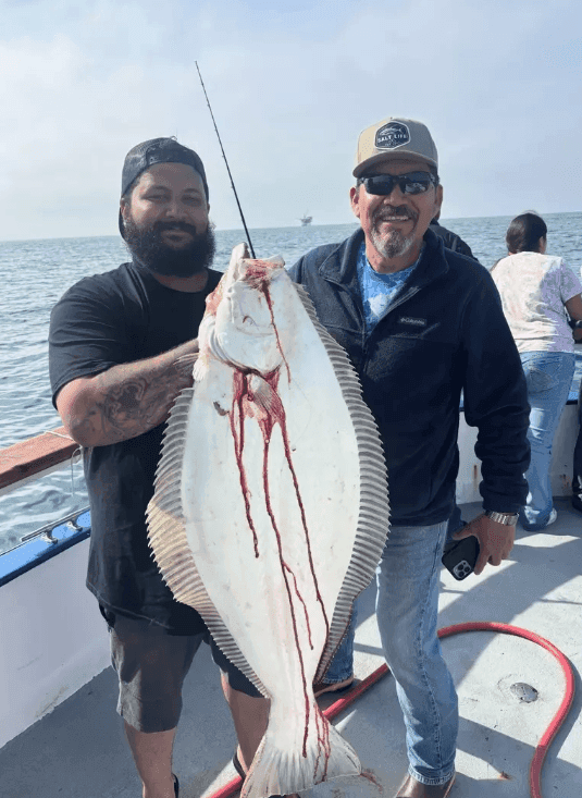 Channel Islands Huge Halibut Bite
