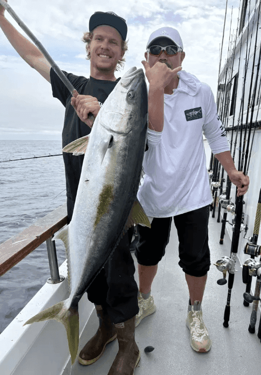 New Hustler Overnight (Channel Islands)
