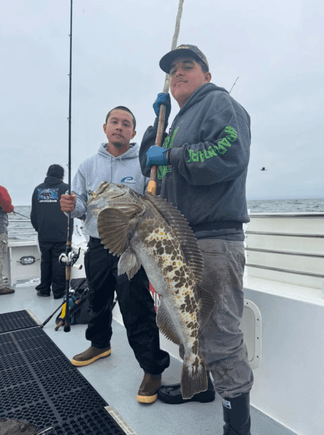 Rockfish, Lingcod, Cabezon Craze